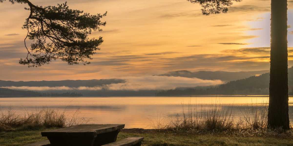 Day 5 – Strength for the Weary