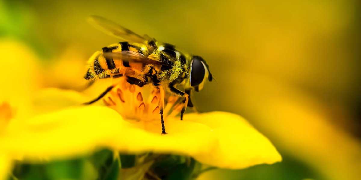 Day 6 – The Beauty of Simplicity