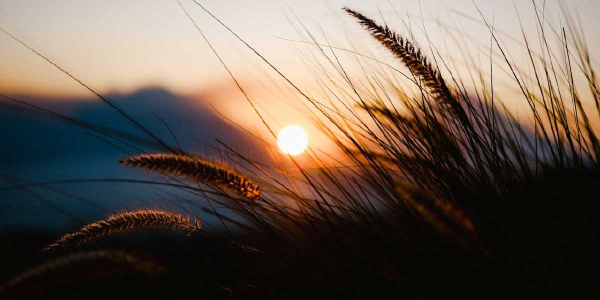 Day 10 – Peace Beyond Understanding