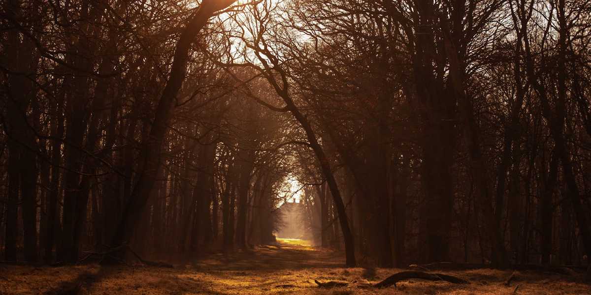 Day 3 – Walking Through Doubt